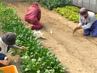 就労継続支援B型 大地ワーク作業所