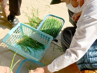 就労継続支援B型 大地ワーク作業所