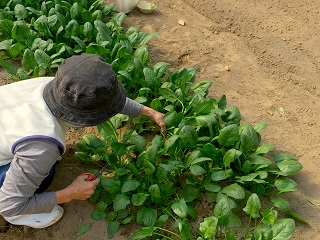 就労継続支援B型 大地ワーク作業所